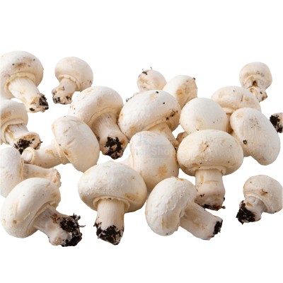 Шампиньоны свежие 500 г - купить в Кертукмахах